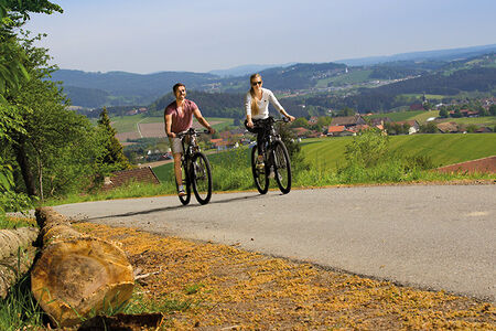 5-Sterne Wellnesshotel in der Nähe der Dreiflüssestadt Passau